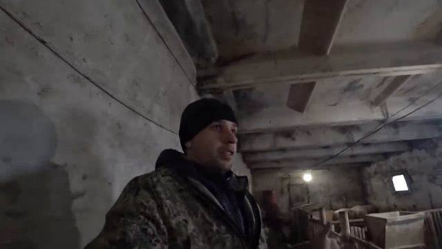 Как выбрать поросенка смотреть онлайн