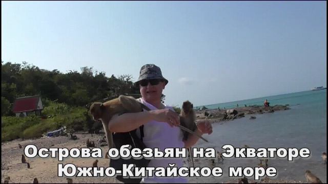 Острова Сиамского залива 3 смотреть онлайн