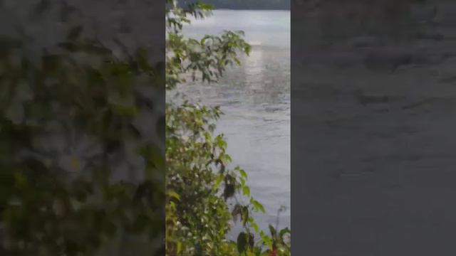 Прогулка по всему пляжу реки Канала имени Москвы 17 августа 2022 год(1) смотреть онлайн