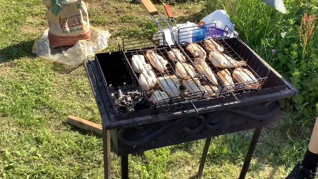Приехали гости. Чай из самовара. Вкусные шашлыки. смотреть онлайн