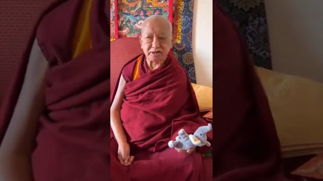 Лама Сопа Ринпоче. Новогоднее поздравление из Бодхгаи смотреть онлайн