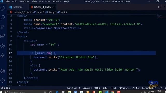 JavaScript 3.3 Comparison Operator (==,===,!=,!==) смотреть онлайн