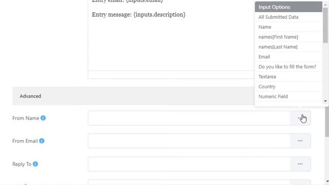 Conditional Email Notification in WP Fluent Form WordPress Plugin смотреть онлайн