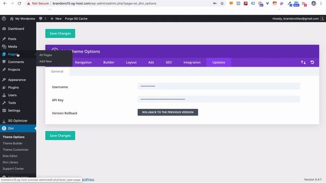 Build & Launch A WordPress Site in 15 Minutes | Divi & Siteground (2020) смотреть онлайн