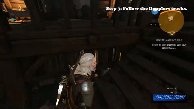 The Witcher 3: Wild Hunt | The Doppler Effect Trophy / Achievement Guide смотреть онлайн