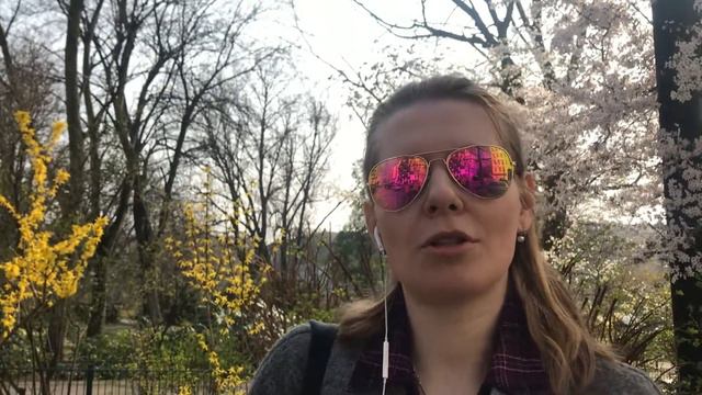 Где в Берлине получить сатисфакцию? — Берлин для чайников with Livehacks Berlin смотреть онлайн
