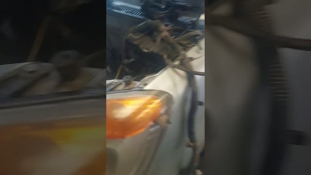 Maruti Suzuki Wagon r Oil Consuming #saddam #sorts #sortvideo смотреть онлайн