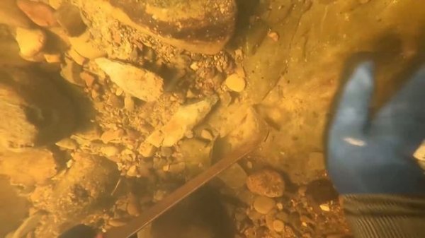 Finding more nuggets from an old gold deposit (discovered when least expected)!!