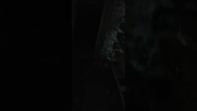 Старый кабельный тоннель, жуть смотреть онлайн