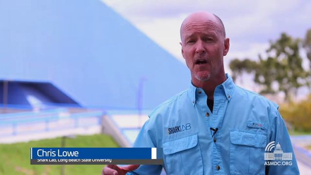 Assemblymember O'Donnell Co-Hosts Shark Education Workshop смотреть онлайн
