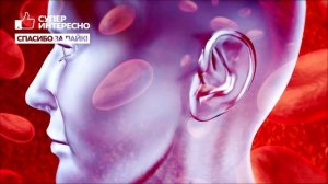 Как ТРОМБЫ УБИВАЮТ тысячи людей. Что делать если тромб оторвался? Тромбоэмболия и ее последствия.