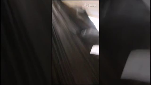 Рацион собаки Мони и пенсионерки