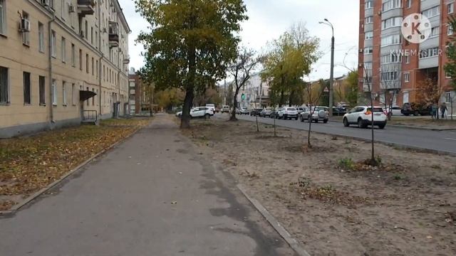 Влог202 Переезд мы в России!/Кастрировали кота/Володя сделал полочки/ смотреть онлайн