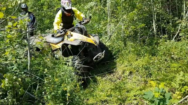 Brp renegade 800 xxc смотреть онлайн