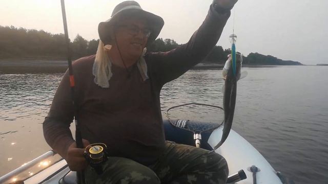 Иртыш 2021. Новые рекорды. Щука 12,3 кг.