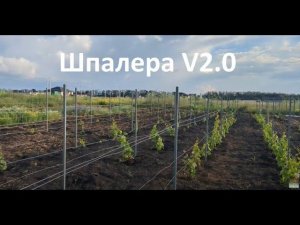 Шпалера для винограда I Version 2.0 I  Монтаж от А до Я