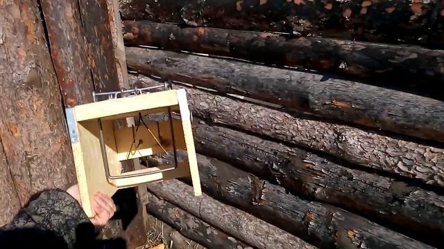 Ящичная ловушка (Кулемка) с обновленным механизмом срабатывания смотреть онлайн