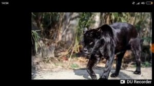 Клип-Давай полетаем что ли!?