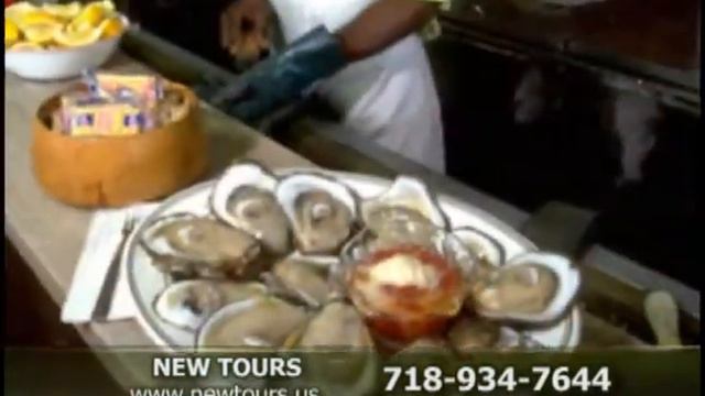 ГОРОДА И ПРИРОДА АМЕРИКАНСКОГО ЮГА смотреть онлайн