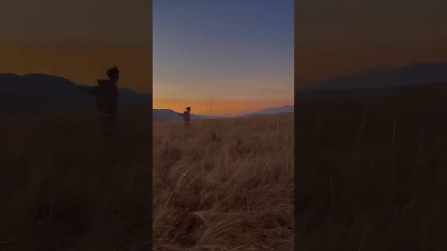 А ты куда рванешь ?