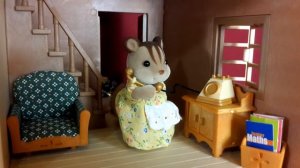 Сильваниан Фэмилис мультик Моя коллекция. Sylvanian Families My collection