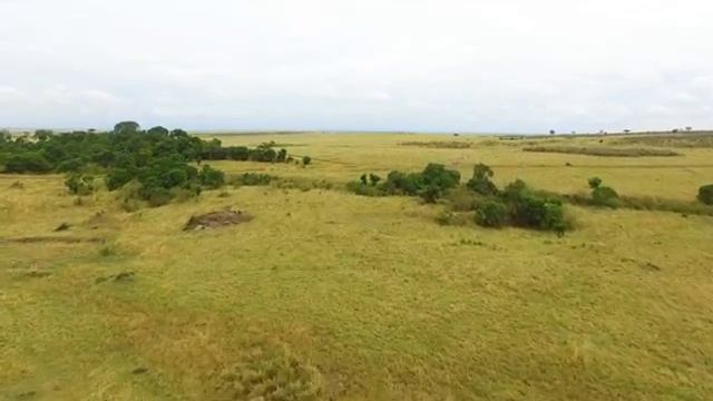4K African Wildlife: Arusha National Park - Scenic Wildlife Film With Real Sounds смотреть онлайн