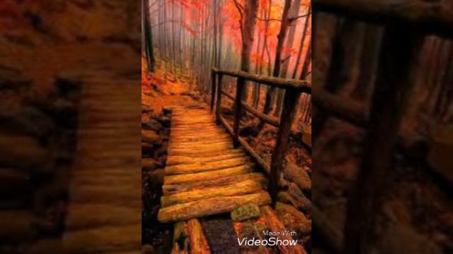 Mark erman _mysteries of love mark смотреть онлайн