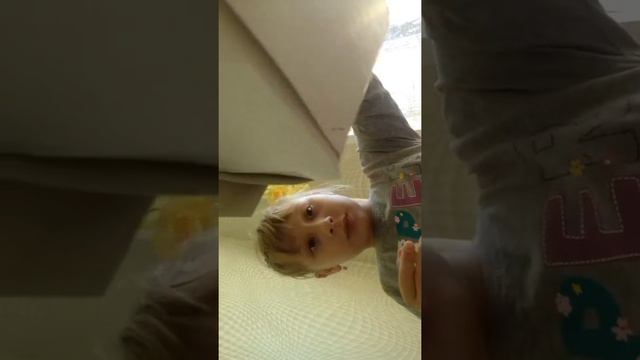 Клетка переноска из картона.?????? смотреть онлайн