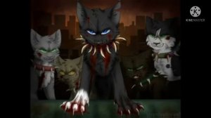 Коты воители клип про Бича - Ангел или бес.