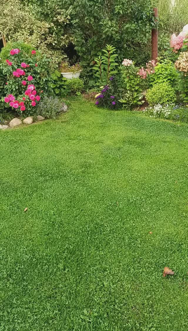 Охота на слизней смотреть онлайн