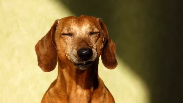 простите я буду ретко снимать смотреть онлайн