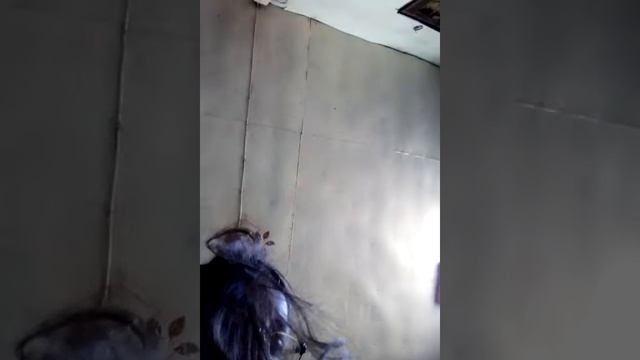 Подшутить над родителями смотреть онлайн