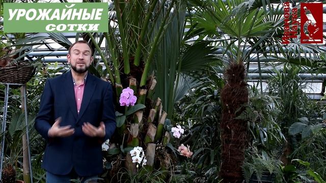 Дорогие женщины! Поздравляю вас с 8 Марта! смотреть онлайн
