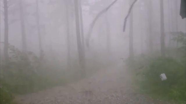 Ураган над Бюрозовой Катунью 24.07.2016г смотреть онлайн