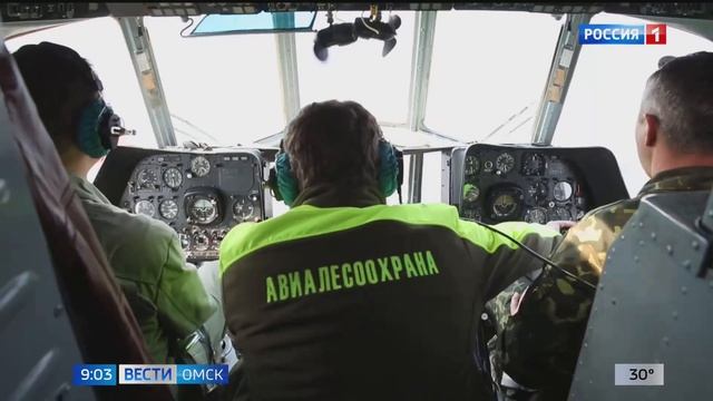 В Омской области продлили запрет на посещение лесов смотреть онлайн