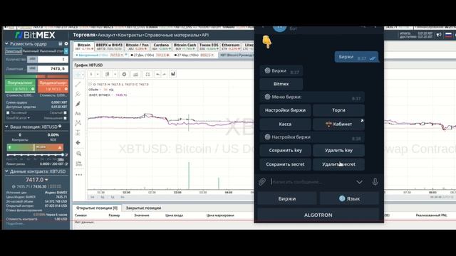 Подключение к платформе ALGOTRON с помощью API ключа смотреть онлайн