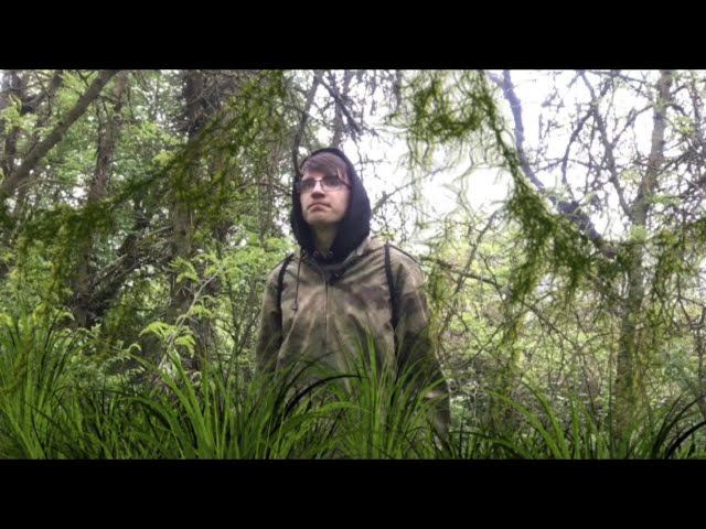 Изучаем травы на болоте!