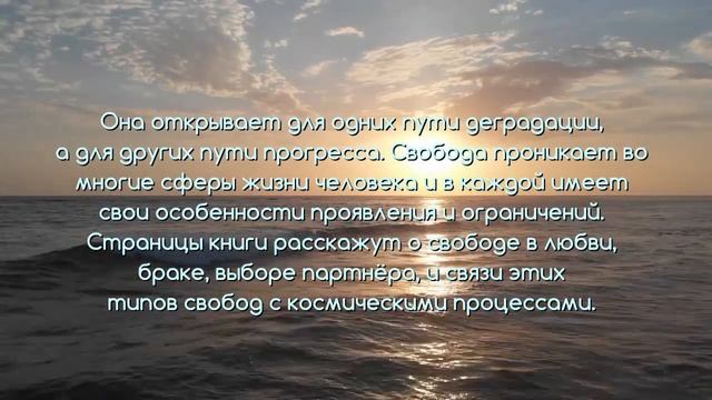 СВОБОДА И НЕИЗБЕЖНОСТЬ. КНИГА. СЕКЛИТОВА Л.А.СТРЕЛЬНИКОВА Л.Л. смотреть онлайн