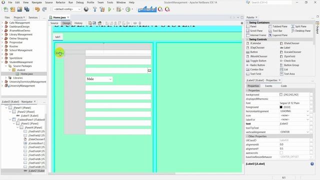 Student Management System in Java | NetBeans | MySQL Database| Part-1 смотреть онлайн