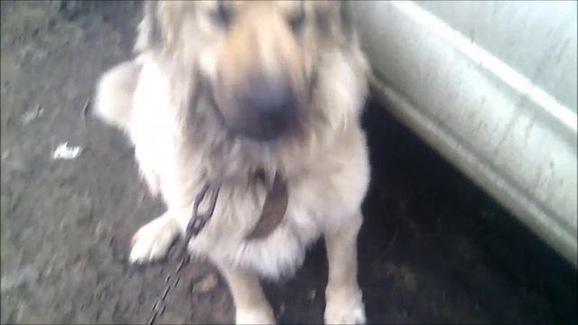 Багажник на СОБОЛЬ своими руками. смотреть онлайн