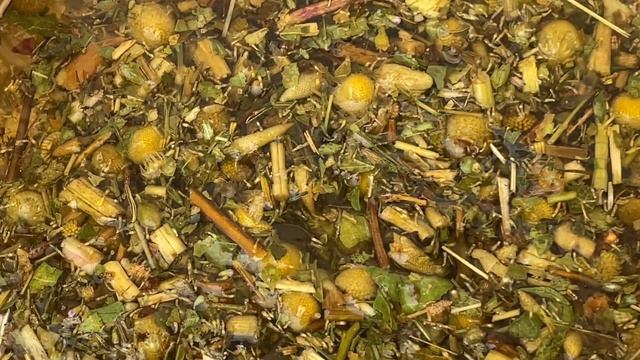 Завариваем Травяной чай "Русские традиции" смотреть онлайн