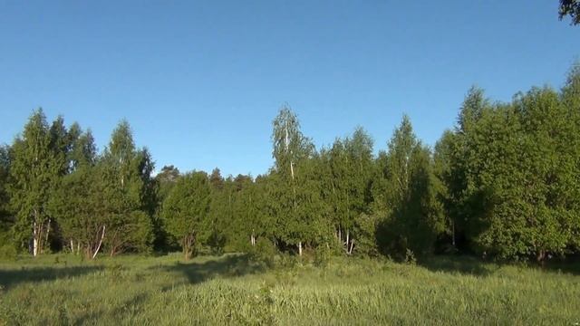 116 Художник на пленере - стихи Юрия Саваровского, музыка Сергея Красавцева смотреть онлайн