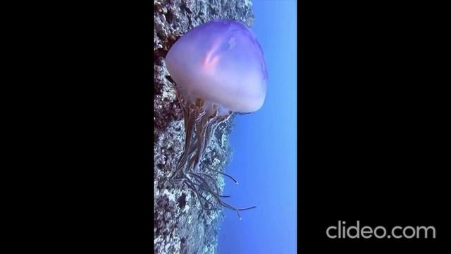 вечер 27.06 смотреть онлайн