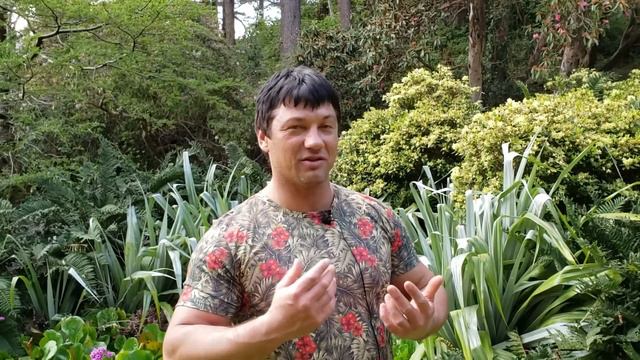 10 причин почему НУЖНО ПЕРЕЕЗЖАТЬ В ВЕЛИКОБРИТАНИЮ - LIFE VLOG смотреть онлайн