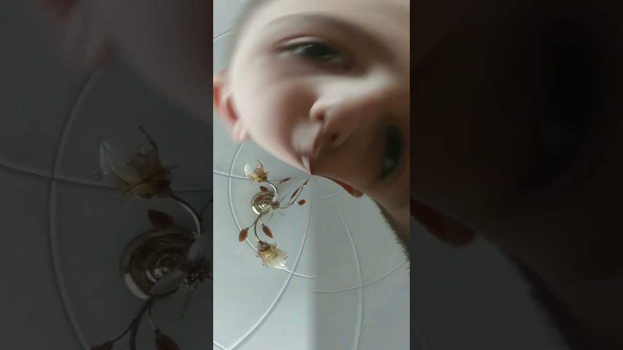 Mark Pedro (@cameramx3908) your on смотреть онлайн