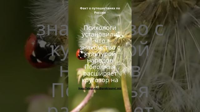 Путешествия по России смотреть онлайн