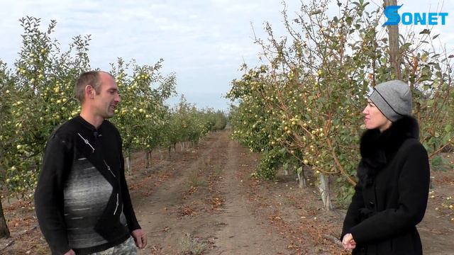 САД АНАТОЛИЯ ЕРМАКОВА В С. РОВЕНКИ смотреть онлайн