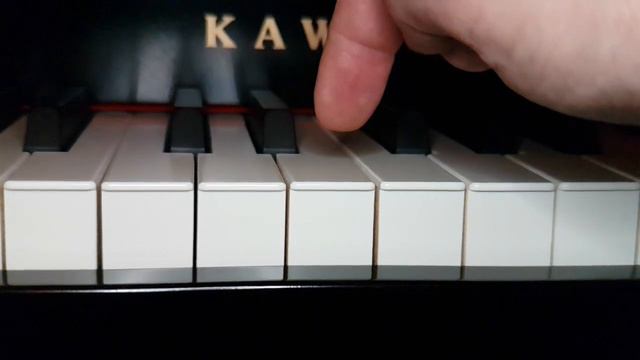 Kawai VPC1 - Kawai RM3II Keyboard Action - 1