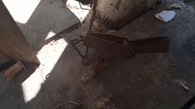 крысак попал в живоловушку смотреть онлайн