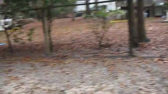 Forgotten Faces Free Jumping 2 смотреть онлайн